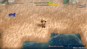 Shiren the Wanderer1