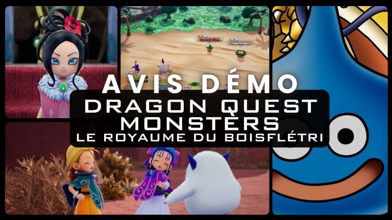 DRAGON QUEST MONSTERS: Le royaume de Boisflétri